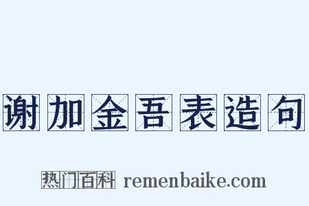 谢加金吾表造句是什么意思的图片